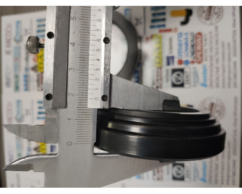 AXIAL SEAL AND MATTER (IN50, GW50-80-13 mm.)