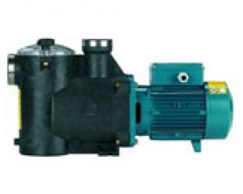 Pump Calpeda MPCM 61