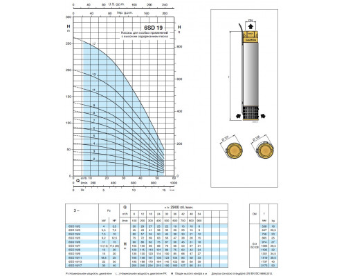 Насос скважинный 6" Calpeda 6SD19/11 30м3/ч, 123м, 18,5квт аналог ЭЦВ8-40-80  