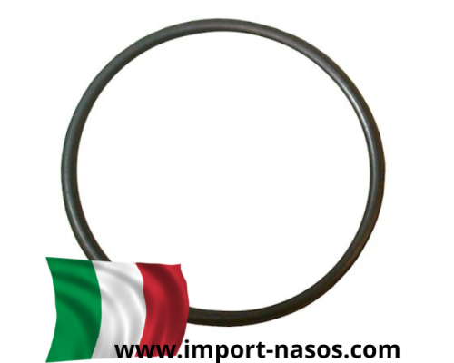 14015780000 O-ring for pump calpeda MXSUM 404/A item 7009 14015780000 O-ring for pump calpeda MXSUM 404/A item 7009