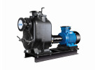 SP10 series pumps