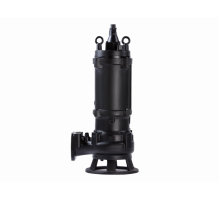 pumpe cnp 100WQ50-7-2.2JYAC(I) sewer with agitator