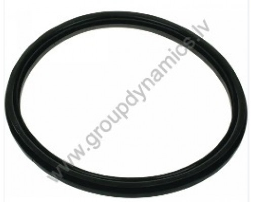 432184205 Electrolux / Wascomat DOOR GASKET