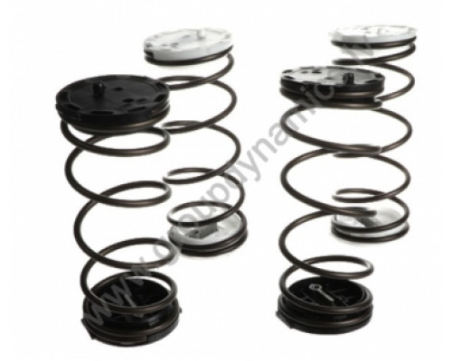 472991306 Electrolux / Wascomat SUSPENSION KIT