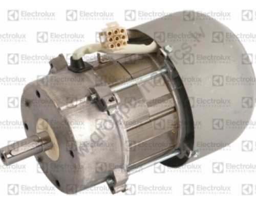 487028356 Electrolux / Wascomat MOTOR