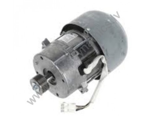 487028376 Electrolux / Wascomat MOTOR