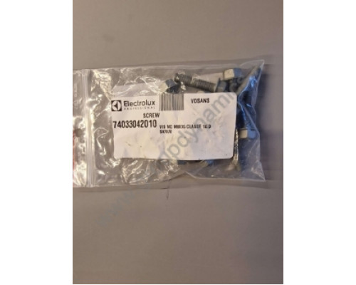 74033042010 Electrolux / Wascomat SCREW