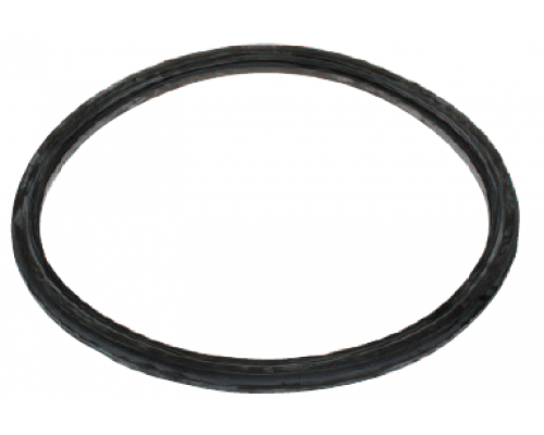 432184305 Electrolux / Wascomat DOOR GASKET