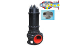 Sewage Pumps