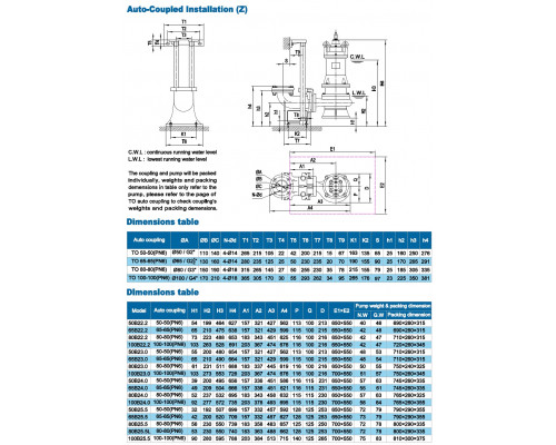 Нәжісті суасты сорғы Neptuni 65B23.0