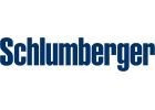 торцеві для насоса Schlumberger Ltd.