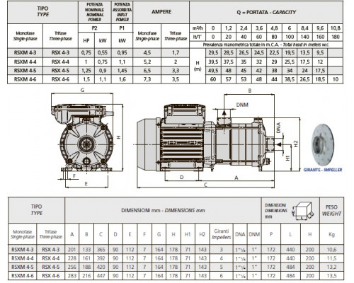 Pumpe speroni RSX 4-5