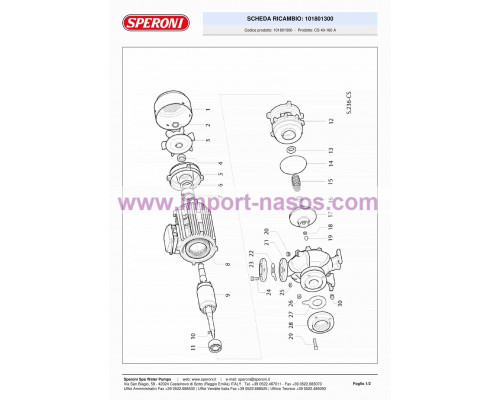 насос speroni CS 40-160 A