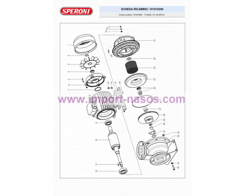 pump speroni СХ 40-200/5,5