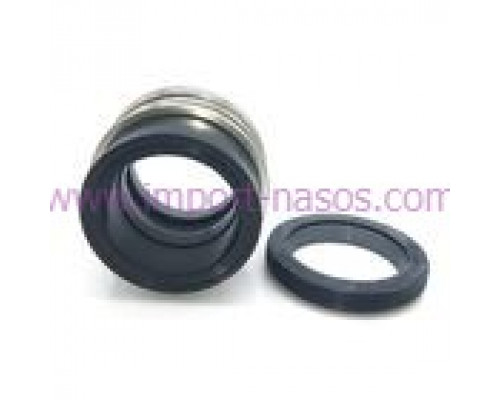 Mechanical seal IN0170.1093QQVGG