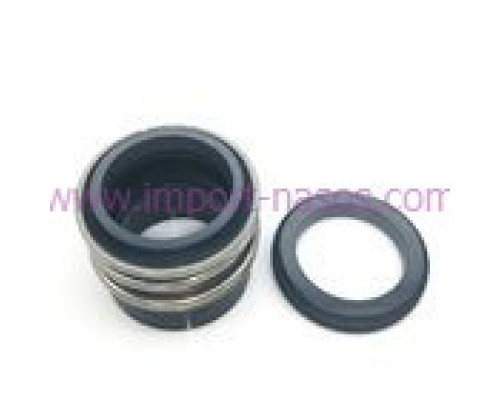 Mechanical seal IN0170.1093QQVGG