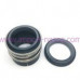 Mechanical seal IN0170.1093QQVGG