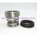 Mechanical seal IN0200.1120ABVPGG