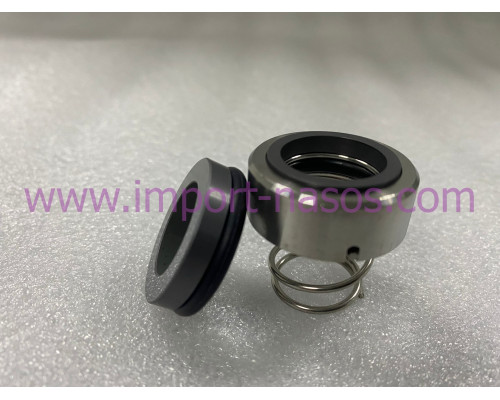 Mechanical seal IN0750.120BVPGG