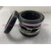 Mechanical seal IN0100.2100.QQVGG