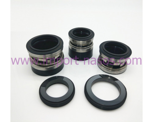 Mechanical seal IN0500.2100L.QQVGG