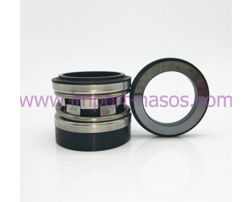 Mechanical seal IN0500.2100L.QQVGG