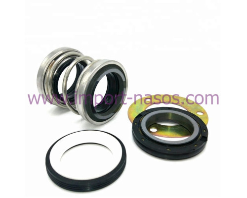 Mechanical seal IN0190.4702.QQVGG