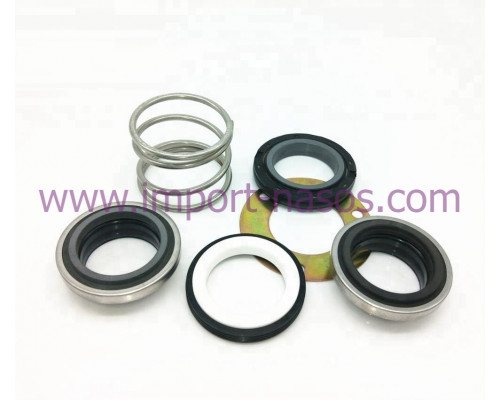 Mechanical seal IN0140.4702.QQVGG