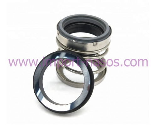 Mechanical seal IN0080.560A.BVPGG