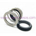 Mechanical seal IN0080.560A.BVPGG