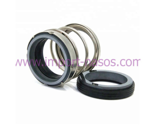 Mechanical seal IN0080.560A.BVPGG