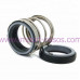 Mechanical seal IN0080.560A.BVPGG