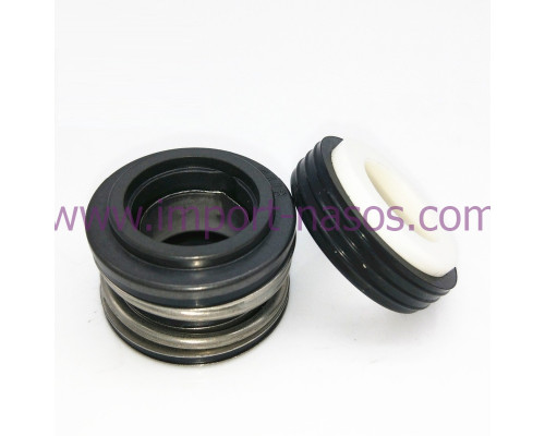 Mechanical seal IN0090.E.BQPGG