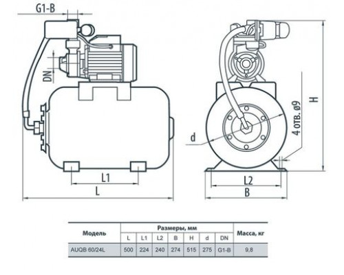 Насосна станція AUQB60/24L "rudes"