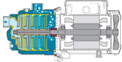 calpeda MXAM403/A Pumpe Ersatzteile